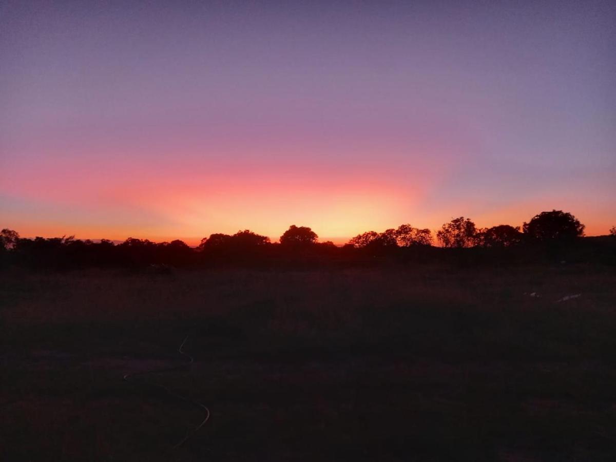Mara Maisha Camp Talek 外观 照片